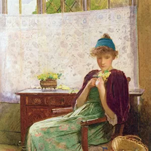 Primroses, 1899 (oil on canvas)