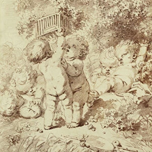 Six Putti at Play, Two Holding Up a Cage, (red chalk)