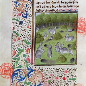 Rabbit warren, from the Livre de la Chasse by Gaston Phebus de Foix (1331-91) (vellum)