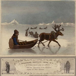 Reindeer travelling in Lapland (coloured engraving)