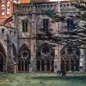 Salisbury, the Cloisters (colour litho)