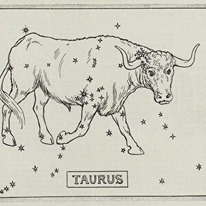 Signs of the zodiac: Taurus (engraving)