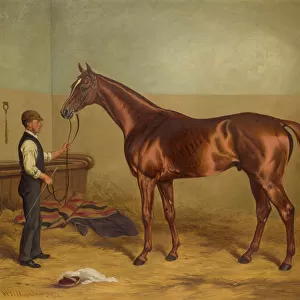 Sir Hugo as a three-year old held by Groom in a Stable, c. 1875-92 (oil on canvas)