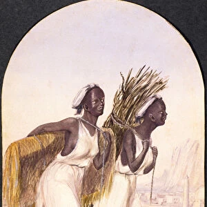 Somali Women at Aden, 1858 (w / c on paper)
