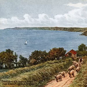 Start Bay and Blackpool Sands, from Stoke Fleming,s Devon (colour litho)