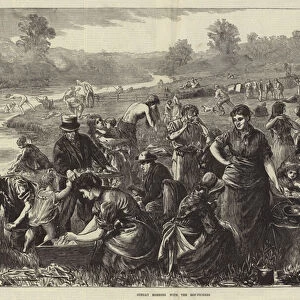Sunday Morning with the Hop-Pickers (engraving)