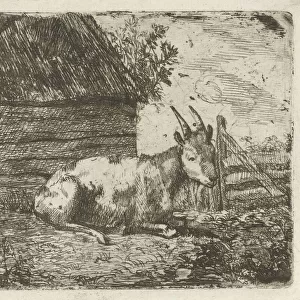 Buck barn -goat billy-goat shed Jan Kobell II