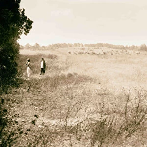 Caesarea Kaisarieh Site hippodrome north 1938