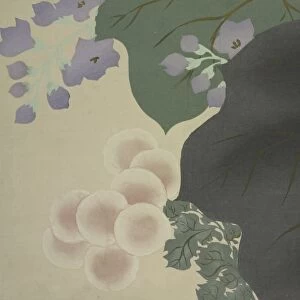 Flowers and leaves, Kamisaka, Sekka, (Artist), 1866 - 1942, Date Issued: 1909, Momoyogusa