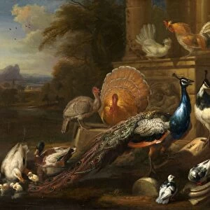 Peacocks, Doves, Turkeys, Chickens and Ducks by a Classical Ruin Signed, lower center
