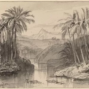 Avisavella, Ceylon, 1884 / 1885. Creator: Edward Lear