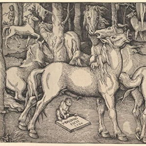 Group of Seven Horses, 1534. Creator: Hans Baldung