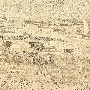 Harvest--The Plain of La Crau, 1888. Creator: Vincent van Gogh