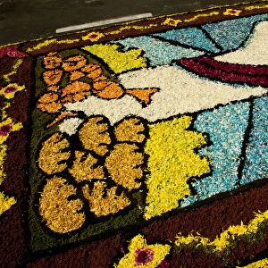Holy Week Surco Flower Carpet, Lima, Peru, 2015. Creator: Luis Rosendo