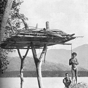 Mortuary platform in New Guinea, 1902. Artist: W Lindt