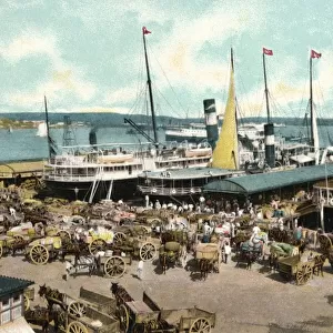 Muelle de Luz harbour with ferries, Havana, Cuba, 1904