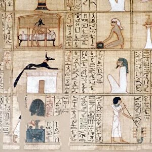Papyrus, Embalming, Anubis, Ancient Egyptian, c10th century BC