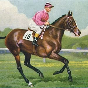 Pasch, Jockey: G. Richards, 1939