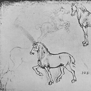 Two Studies of Horses, One of a Galloping Horseman and Others of Horses Legs, c1480 (1945). Artist: Leonardo da Vinci