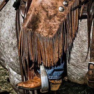 American Cowboy with chaps in the saddle
