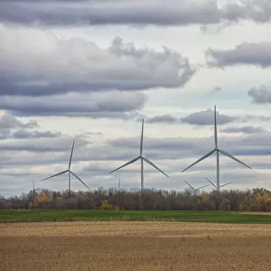 A Combine Harvests Soybeans While Wind Turbines Spin In The Distance; Strathroy, Ontario, Canada
