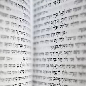 Open Torah