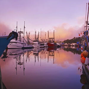 Sunrise Through The Morning Fog And Fishing Boats In Newport Harbor; Newport Oregon United States Of America
