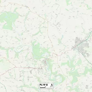 West Devon PL19 8 Map