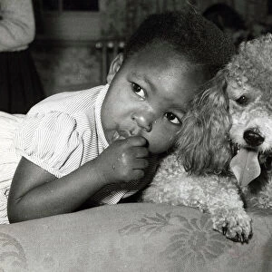 African American child with puppy leaning on dog sucking thumb 1950 s