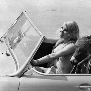 Deidre Baker sits out in the car with baby donkey Charlie. August 1969 P011880
