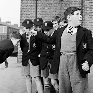 A group of friends taking part in a game of conkers at their school. September 1950