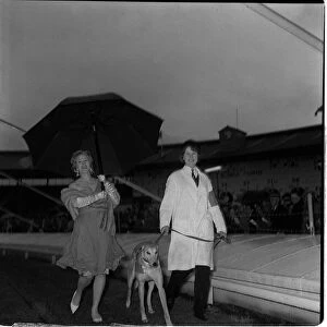 Liz Fraser actress with greyhound May 1962 in aid of the Variety club of