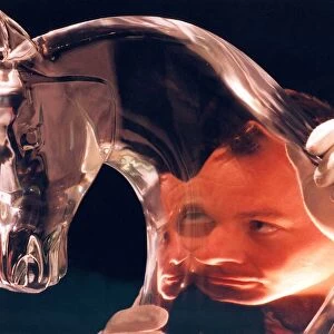Nick Dolan, keeper of applied art at Sunderland Museum, with this model of a horses head