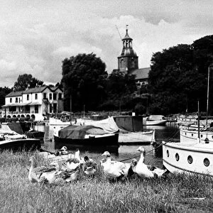 Sunbury on Thames Middlesex circa 1955